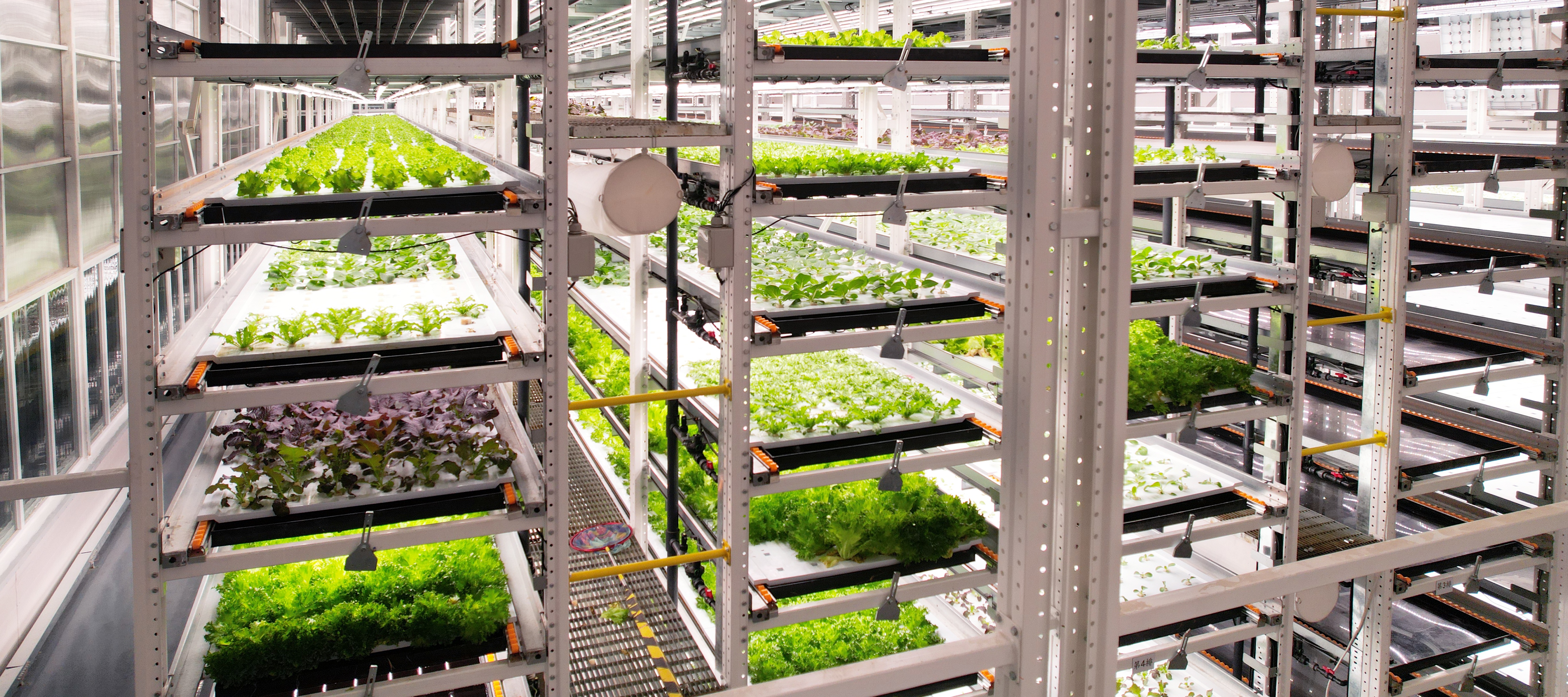 ������Եֲ�﹤���߲�20231206 (2)_��ͼ��.JPG